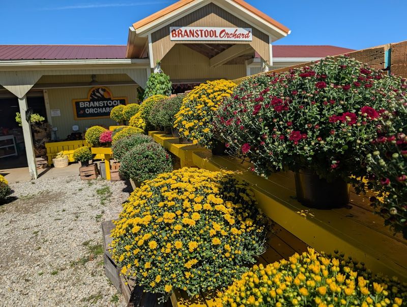 Branstool Orchards, Utica