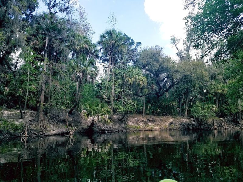 Alafia River