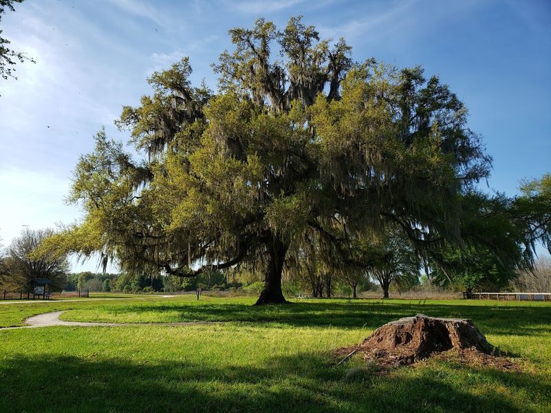 Halpata Tastanaki Preserve 