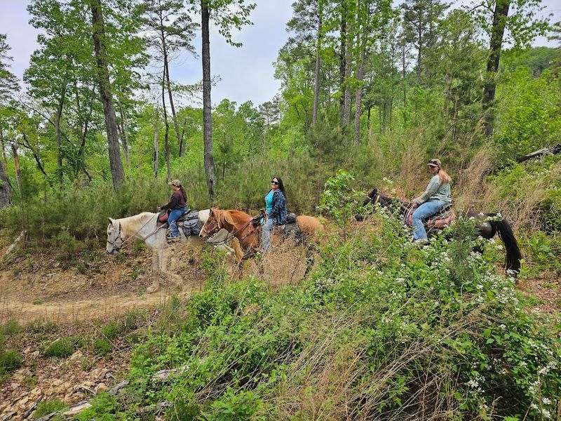 Equestrian Trail Adventures