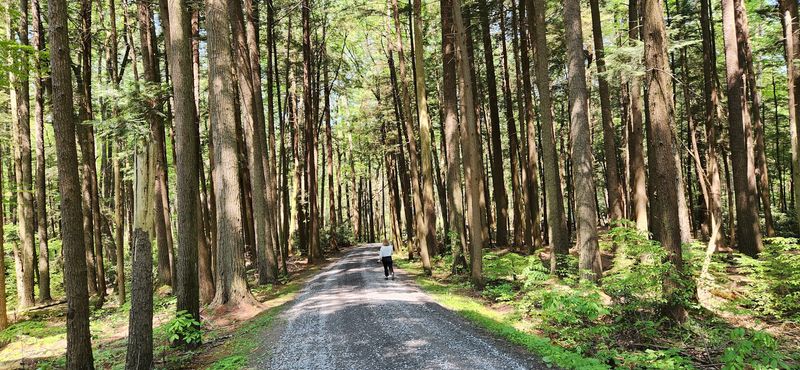 The Perfect Family-Friendly Trail Design