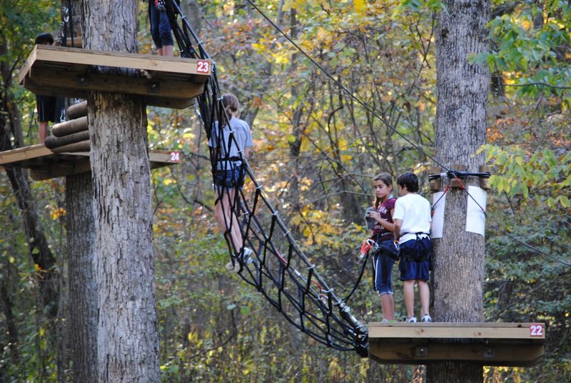 Ultimate Zipline Adventures