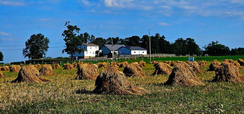 Amish Country Loop through Holmes County - Berlin, Holmes County