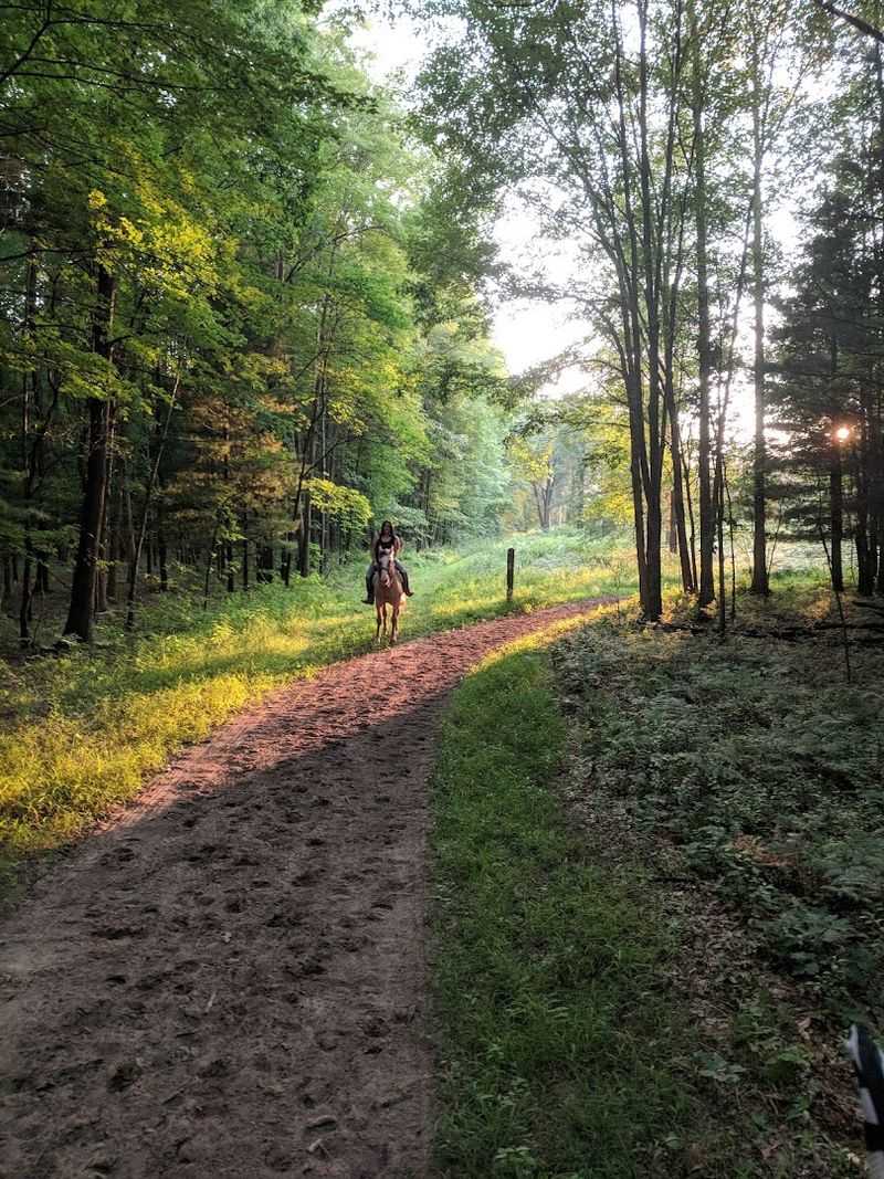 Oak Openings Preserve Metropark