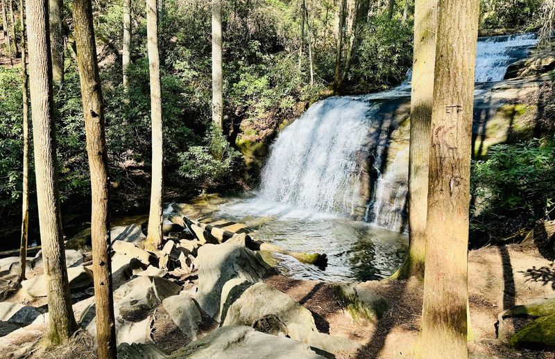 Long Creek Falls Trail 