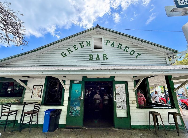 The Green Parrot