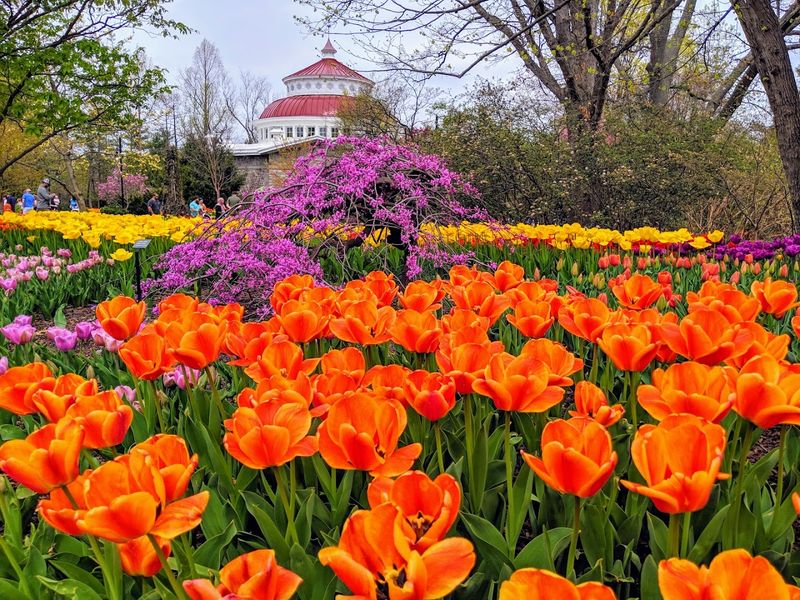Cincinnati Zoo & Botanical Garden (Cincinnati)