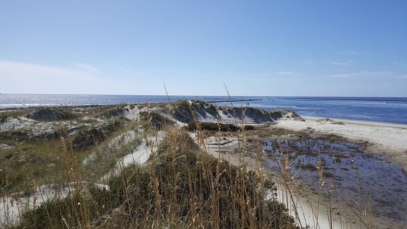 Sunset Beach Bird Island Reserve