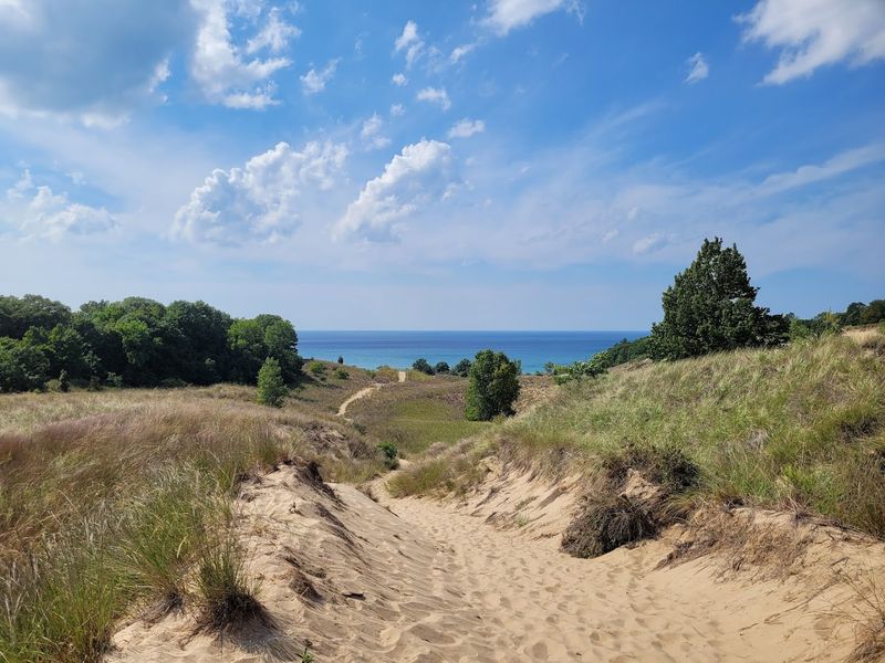 Warren Dunes State Park Trails 