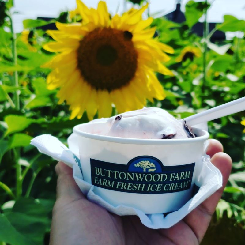 Buttonwood Farm (Griswold)