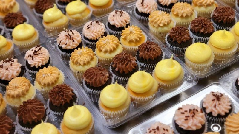 The Gourmet Cupcake Shoppe