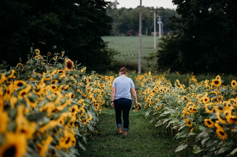 Northfarthing Farms & Getaways