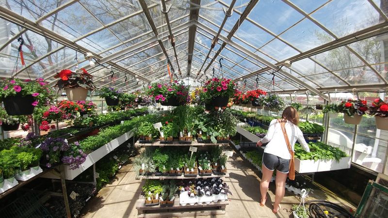 Cavotta&rsquo;s Garden Center
