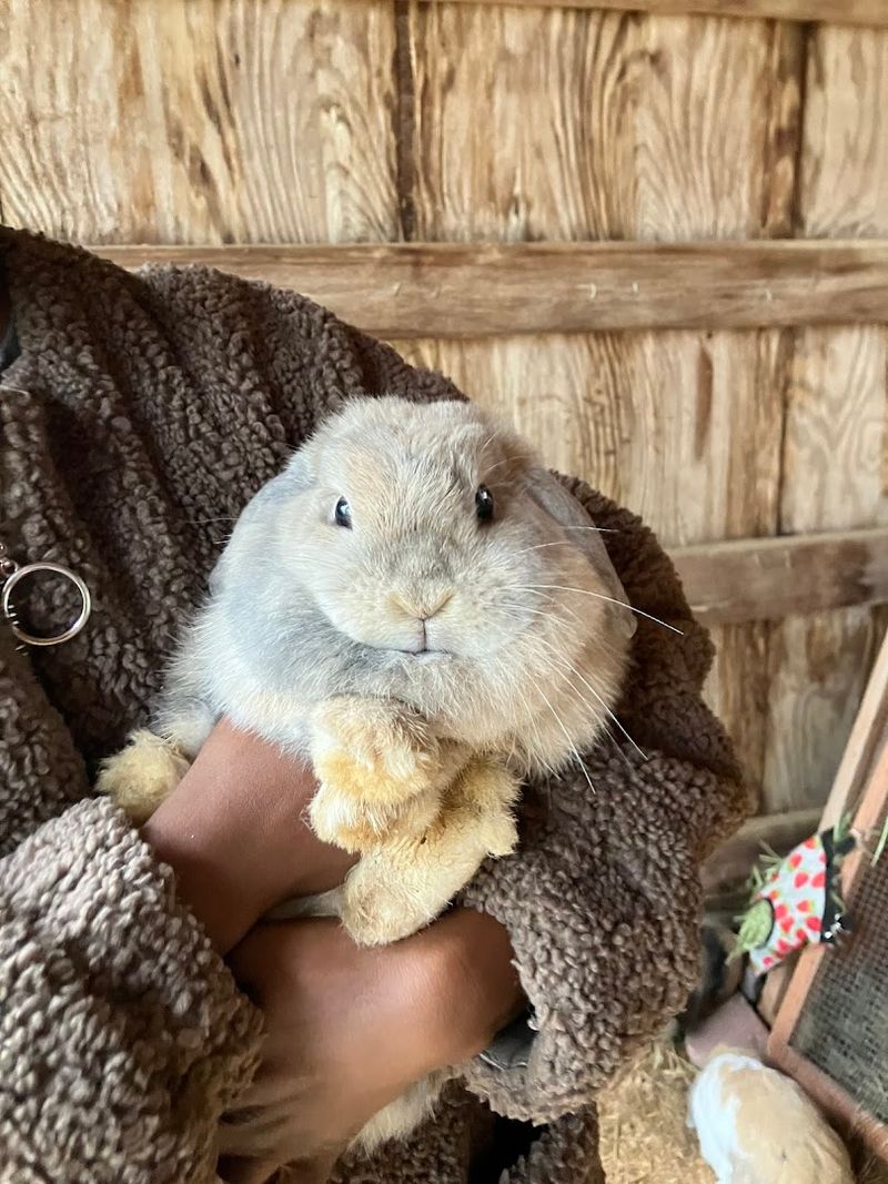 Luna Farm and Sanctuary (Powder Springs)