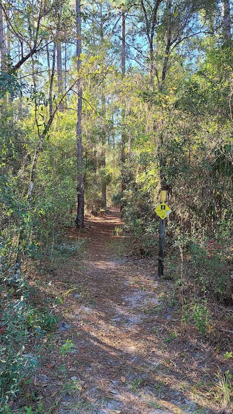 Tips Before Hiking This Unusual Florida Trail
