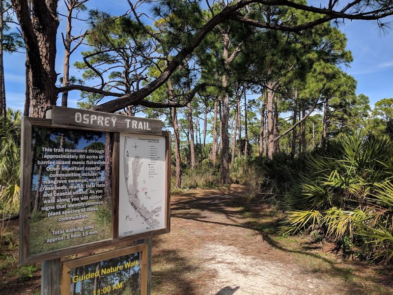 Honeymoon Island State Park Trails 
