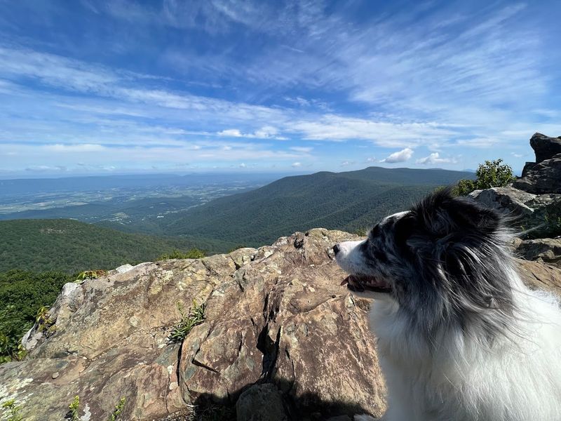 Hawksbill Summit Trail
