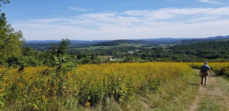 Sky Meadows State Park - Delaplane, Fauquier County