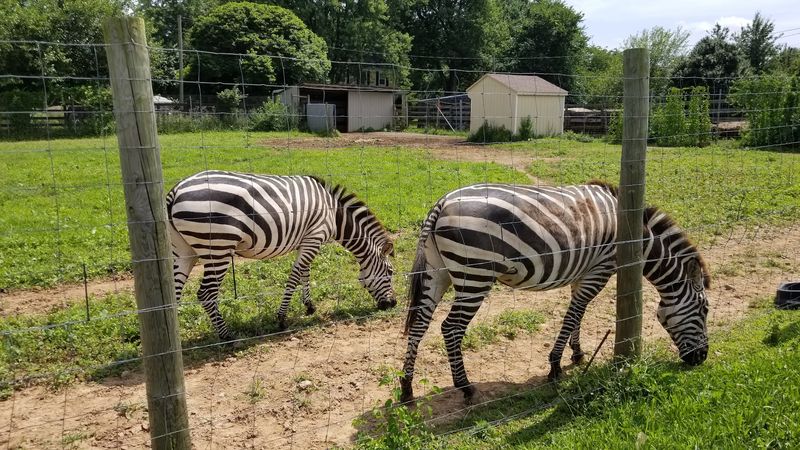 Leesburg Animal Park (Leesburg)