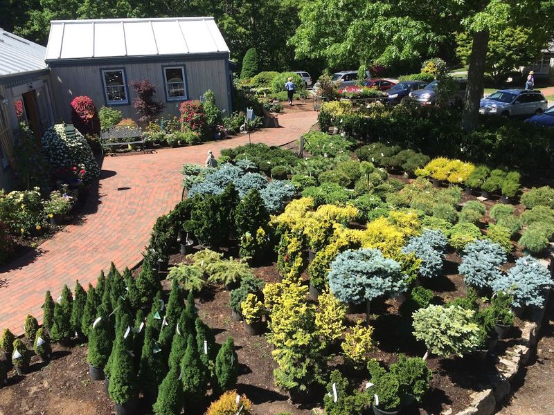 Crocker Nurseries
