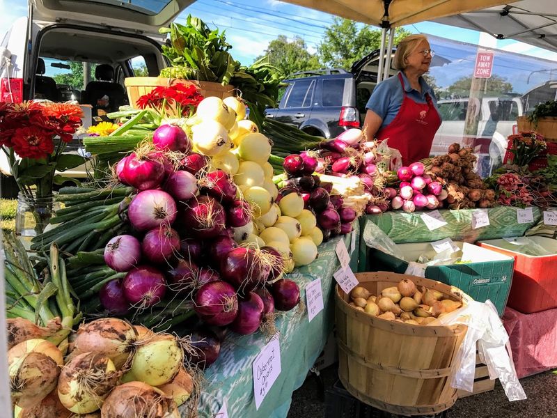 North Union Farmers Market at Shaker Square