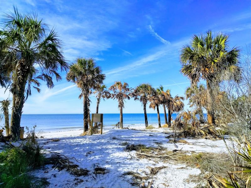 Caladesi Island State Park - Dunedin, Pinellas County
