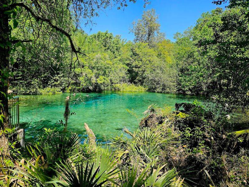 Tubing the Ichetucknee River