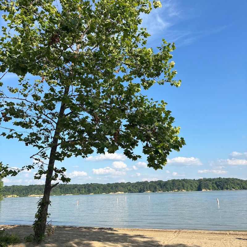 Caesar Creek Lake