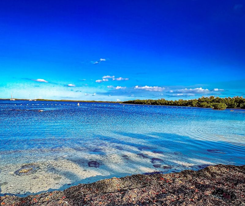 John Pennekamp Coral Reef State Park
