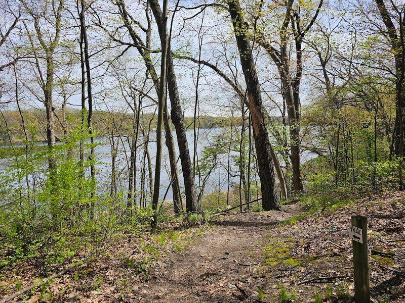 Waterloo Recreation Area Trails 