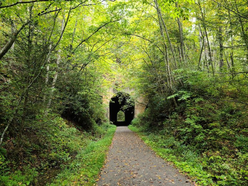 Guest River Gorge Trail, Coeburn, Wise County