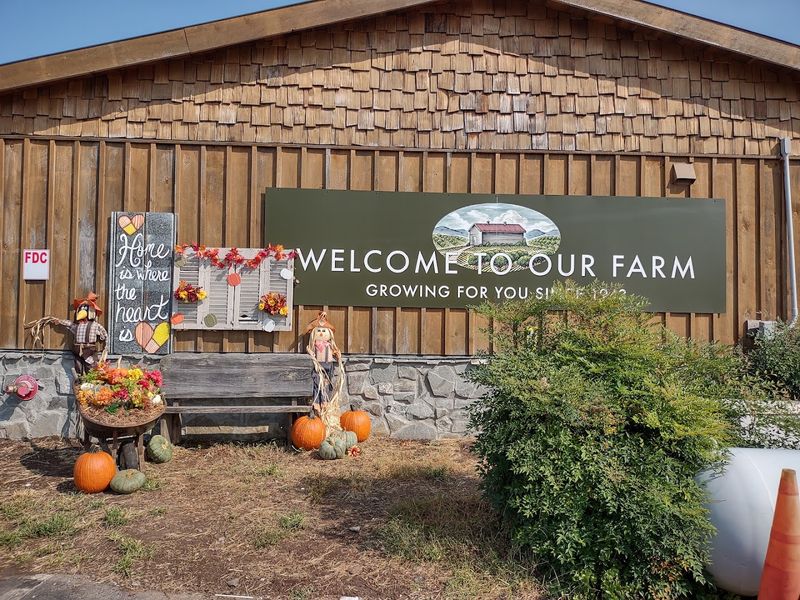 Mercier Orchards - Blue Ridge, Fannin County