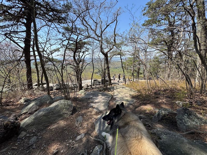 Bear’s Den Park