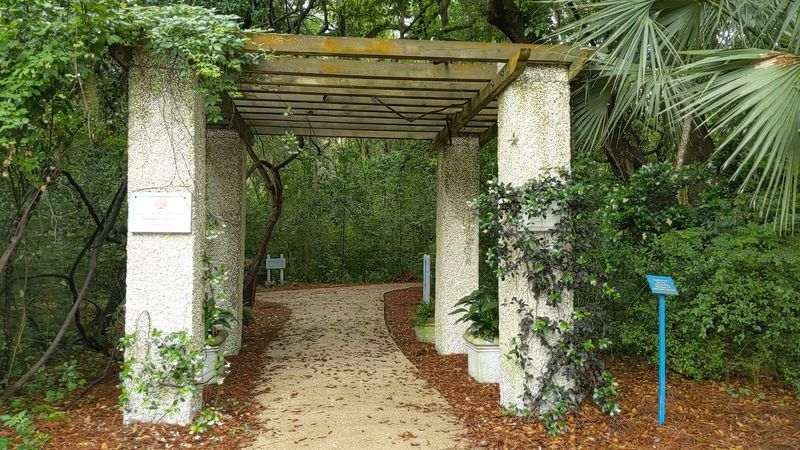 St. Simons Island Trail System