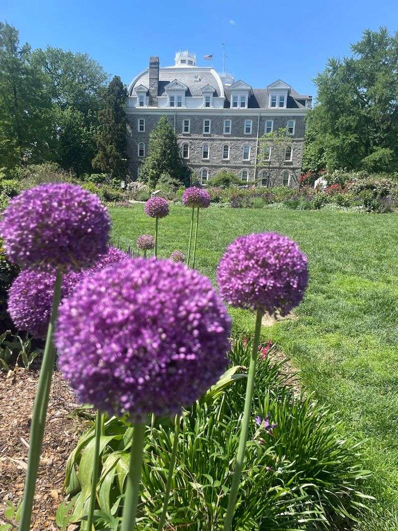 Scott Arboretum of Swarthmore College (Swarthmore)
