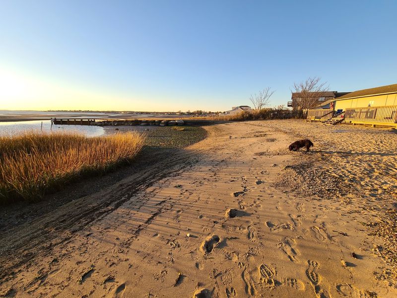 Harvey&rsquo;s Beach