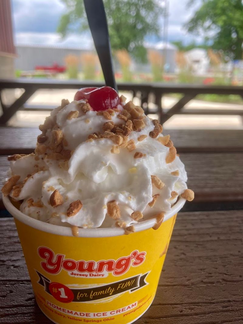 Young's Jersey Dairy