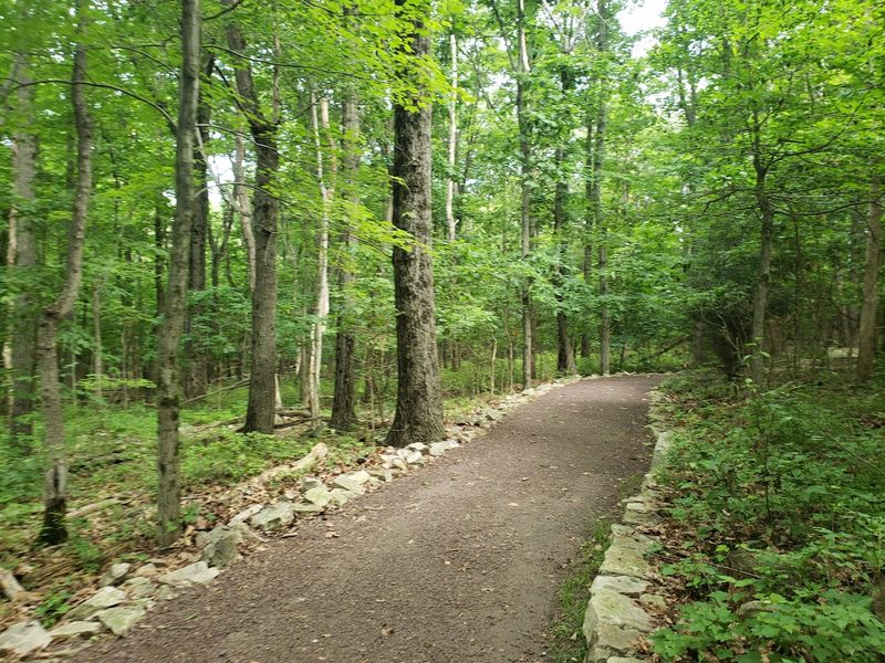 Hawk Mountain Sanctuary and Schuylkill Headwaters - Kempton, Berks County