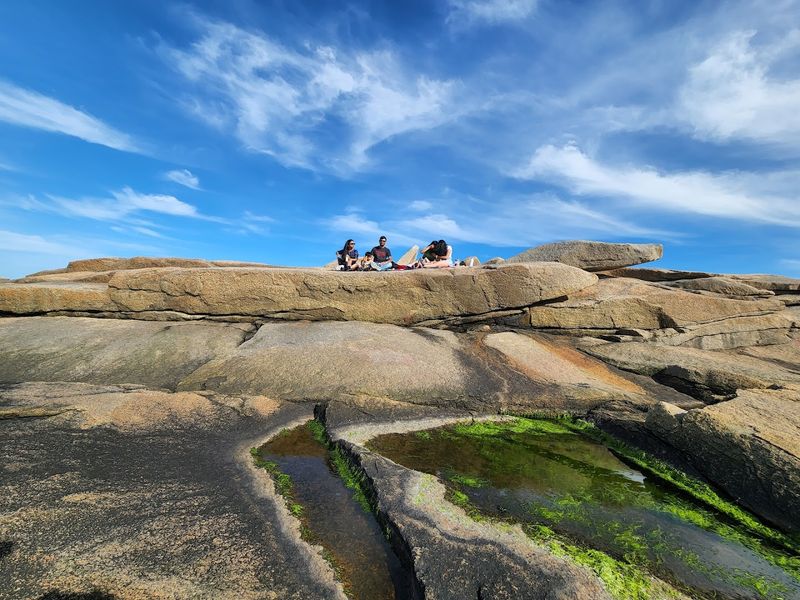 Halibut Point State Park Adventure Trails