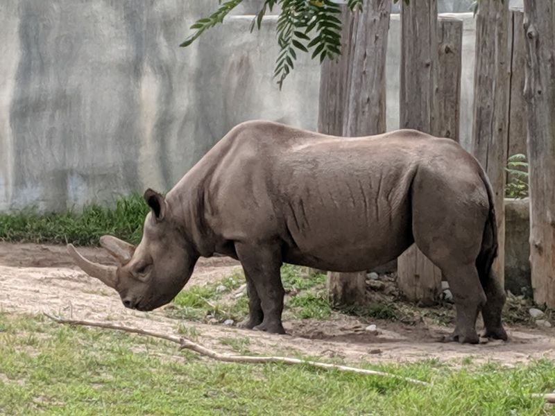 Potter Park Zoo (Lansing)