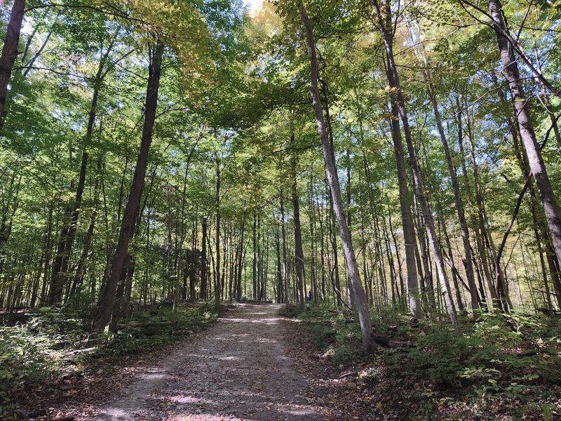 Sharon Woods Metro Park Trails 