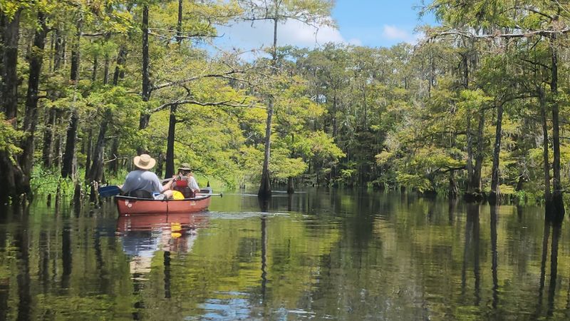 Best Time To Paddle