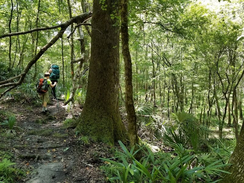 Bluffs Trail