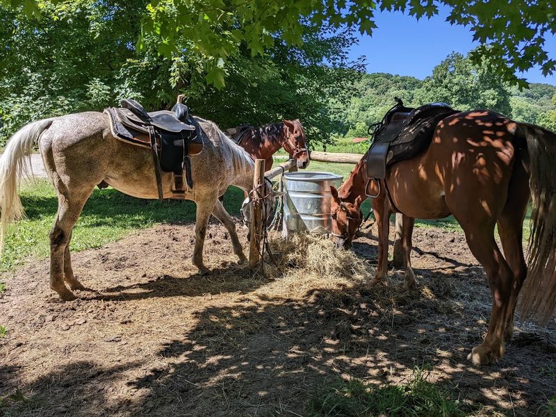 Hocking Hills Riding Stables 