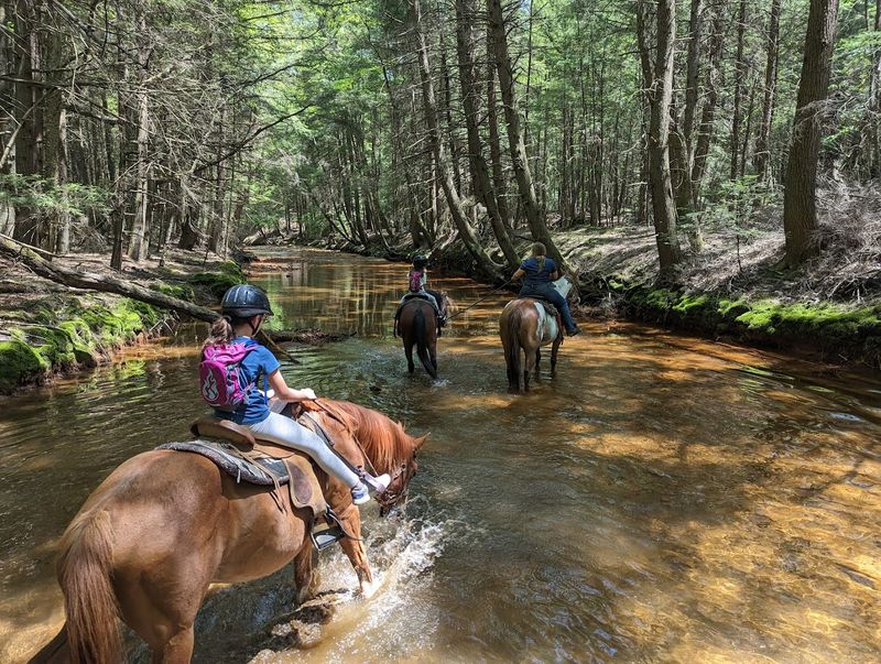 Cook Forest Scenic Trailride, Dude Ranch, and Campground &mdash; Clarion, Pennsylvania