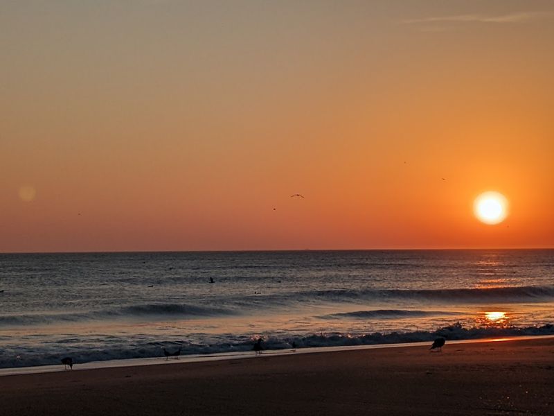 Kitty Hawk Beach (Kitty Hawk, Dare)