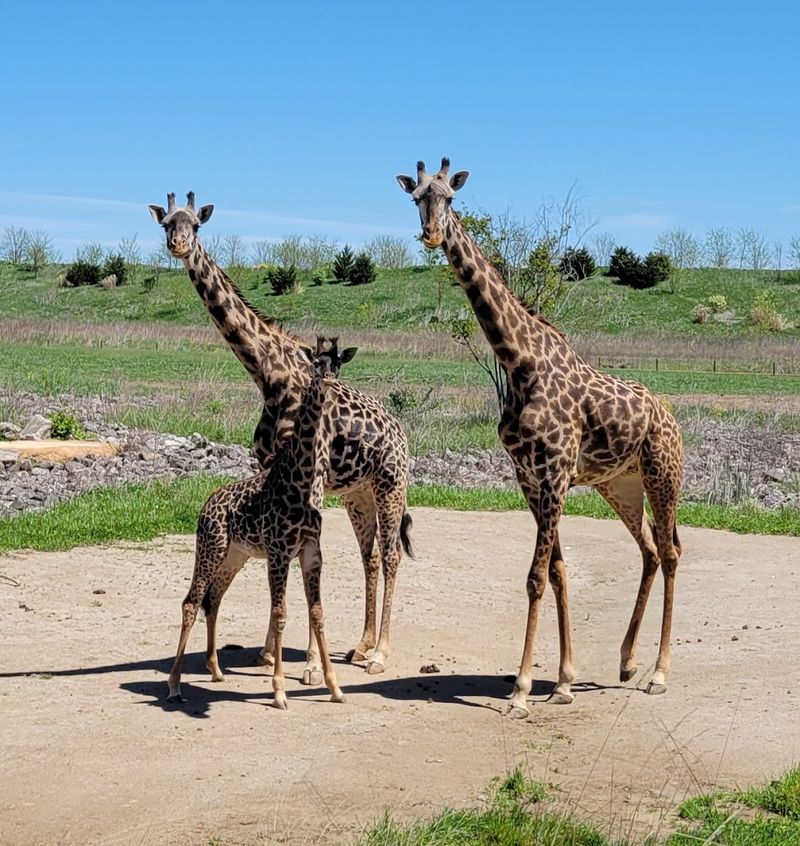 Columbus Zoo and Aquarium