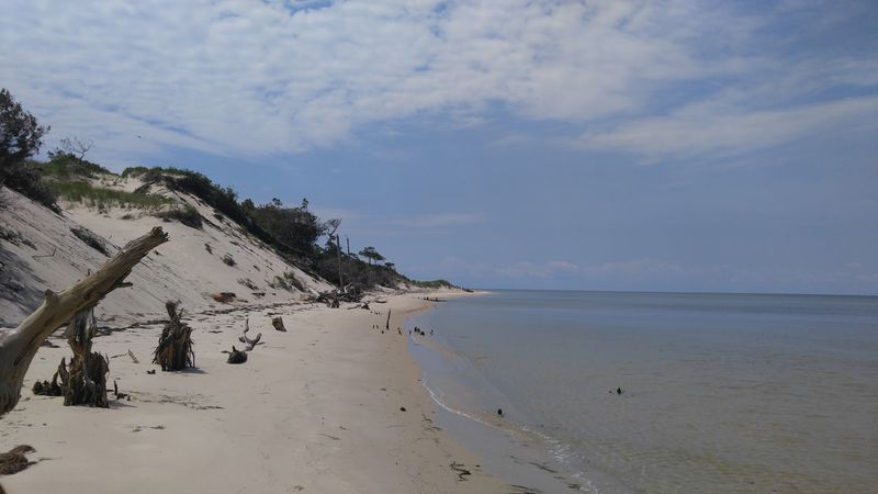 Savage Neck Dunes Natural Area Preserve