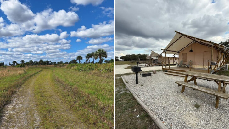 Kissimmee Prairie Preserve Is Home To One Of Florida’s Most Remote Camping Experiences