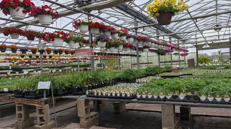 North Dayton Garden Center